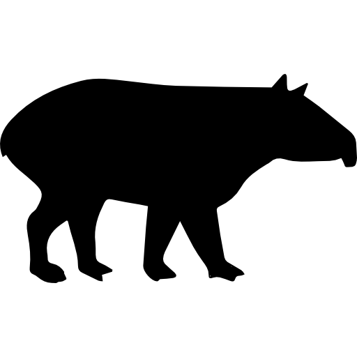Tapire